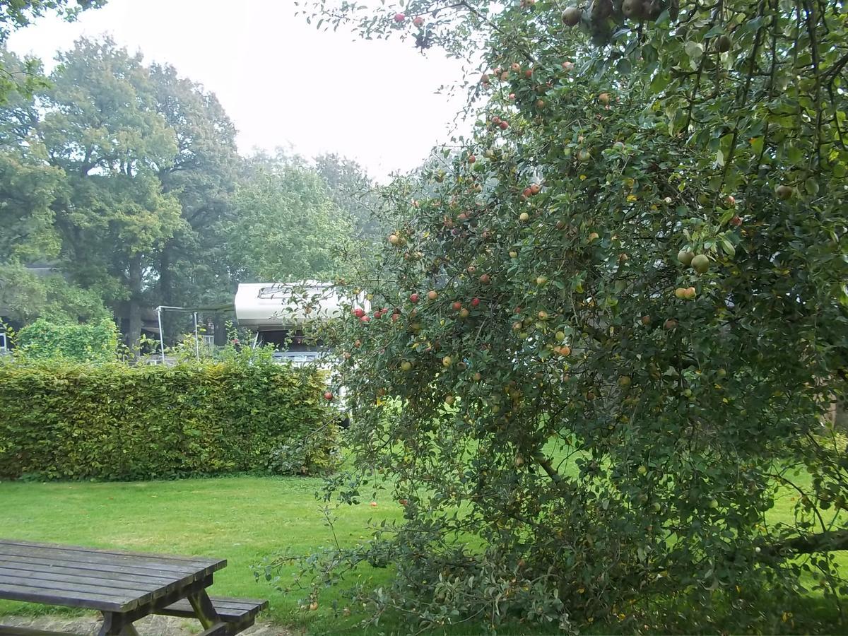 B&B Slaoperij Orvelte Exterior photo